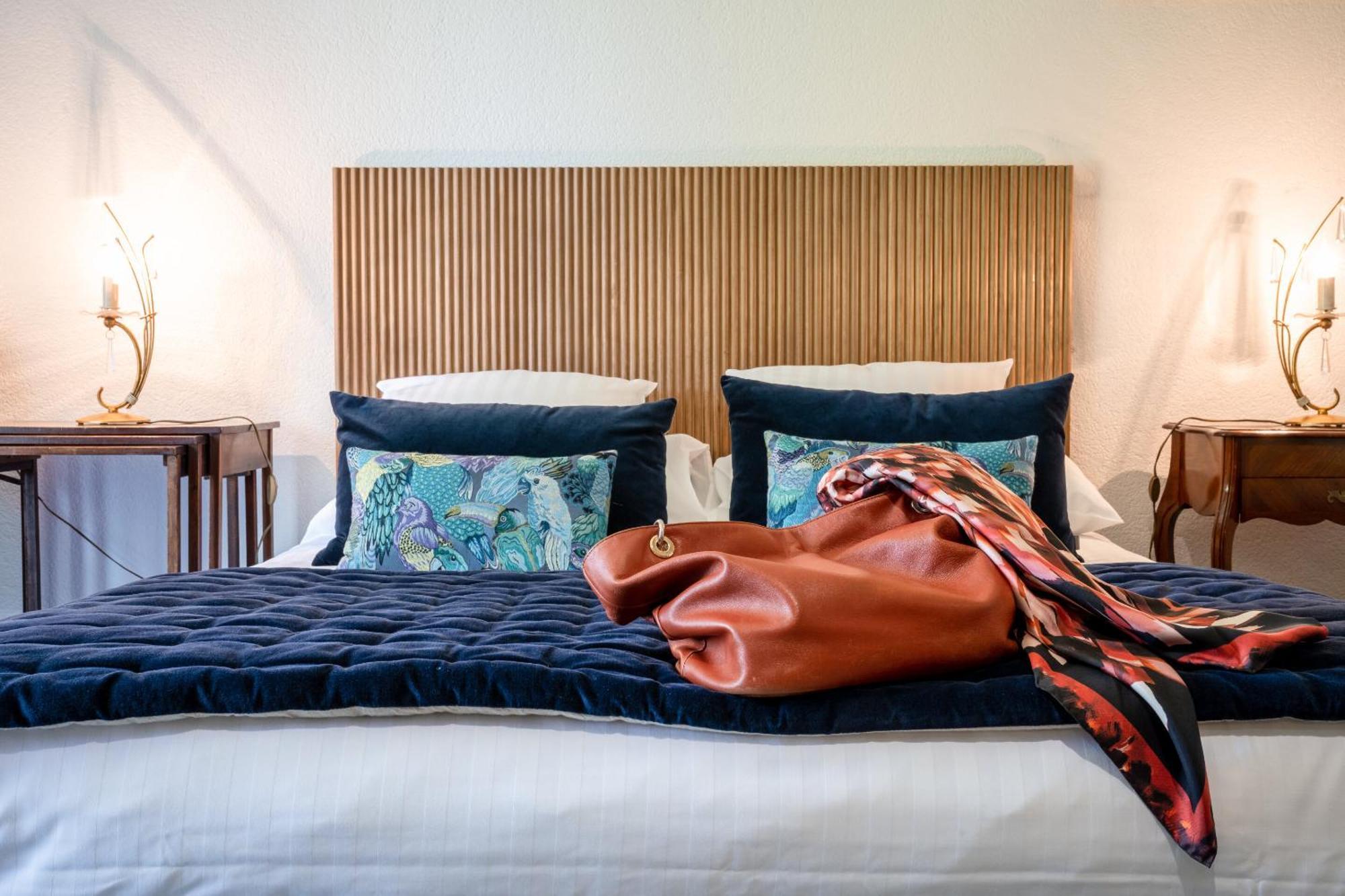 Demigny La Dominotte Bed & Breakfast 部屋 写真